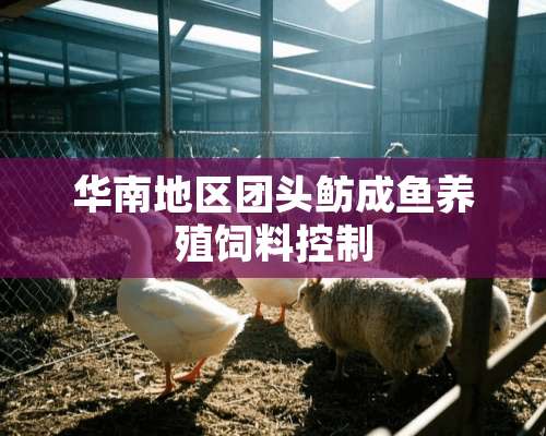 华南地区团头鲂成鱼养殖饲料控制