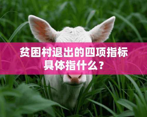 贫困村退出的四项指标具体指什么？