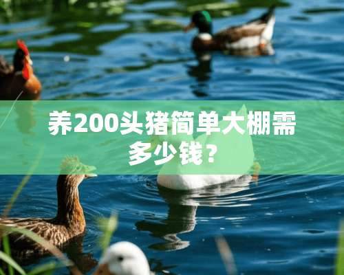 养200头猪简单大棚需多少钱？