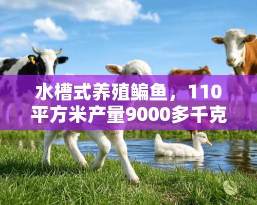 水槽式养殖鳊鱼，110平方米产量9000多千克、利润2万多元，前景广阔