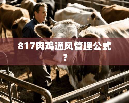 817肉鸡通风管理公式？