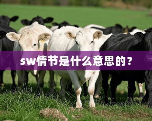 sw情节是什么意思的？