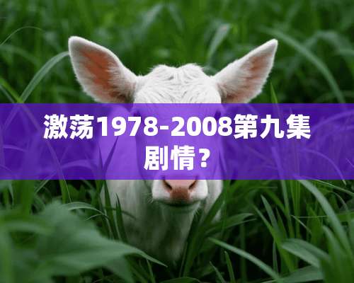 激荡1978-2008第九集剧情？