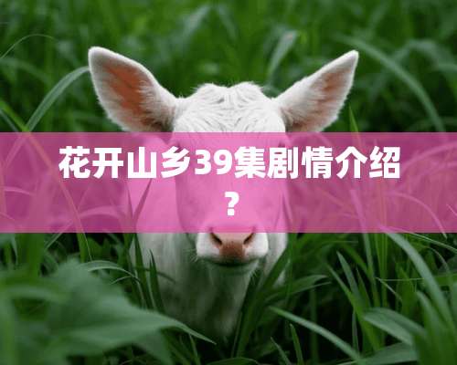 花开山乡39集剧情介绍？