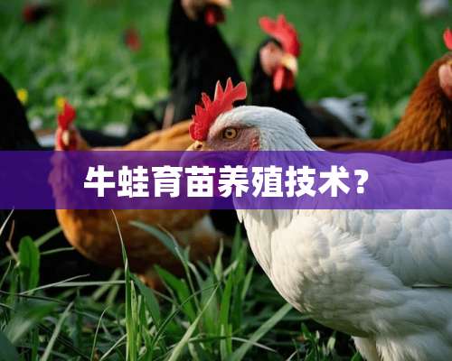 牛蛙育苗养殖技术？