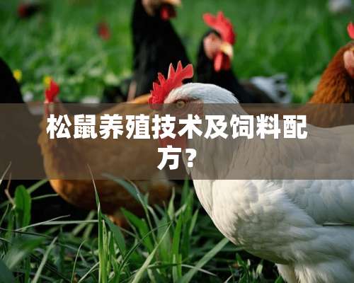 松鼠养殖技术及饲料配方？