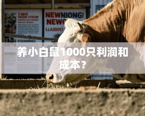 养小白鼠1000只利润和成本？