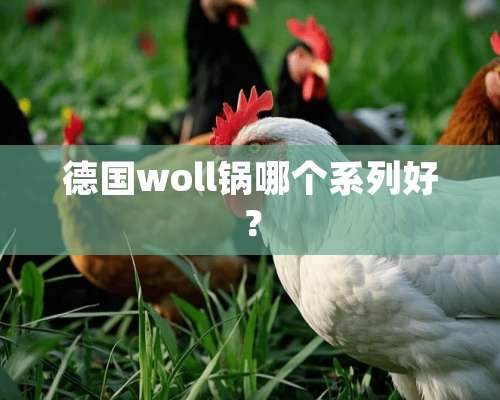 德国woll锅哪个系列好？