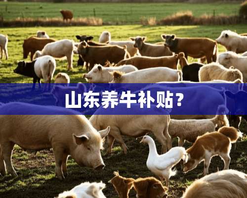 山东养牛补贴？