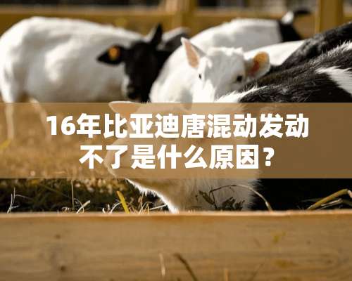 16年比亚迪唐混动发动不了是什么原因？