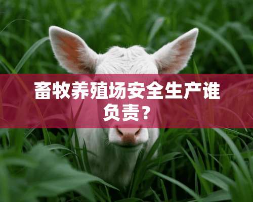 畜牧养殖场安全生产谁负责？