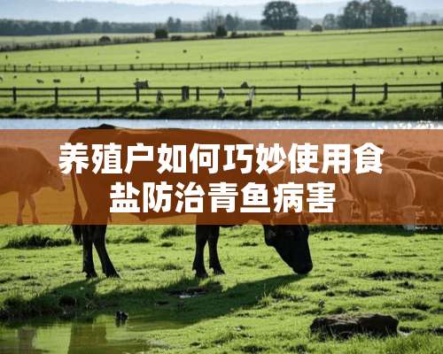 养殖户如何巧妙使用食盐防治青鱼病害