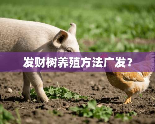 发财树养殖方法广发？