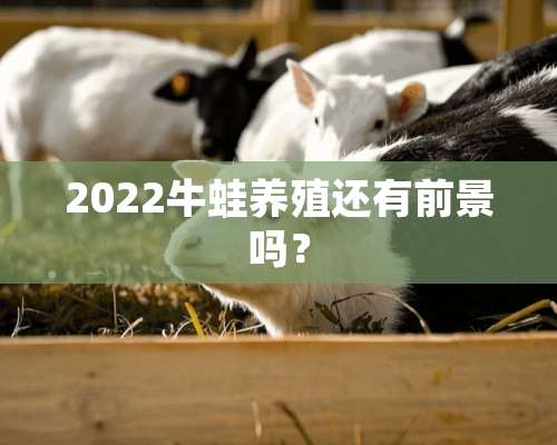 2022牛蛙养殖还有前景吗？