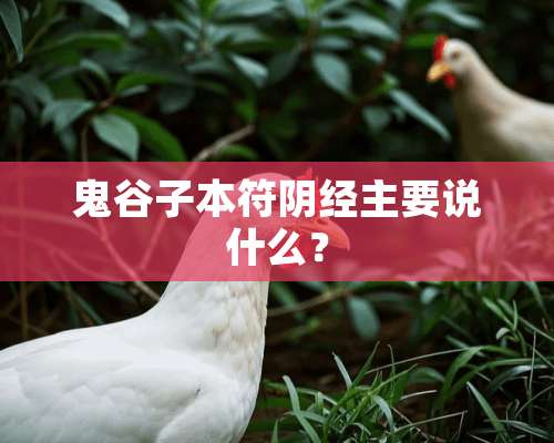 鬼谷子本符*经主要说什么？