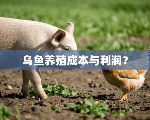 乌鱼养殖成本与利润？