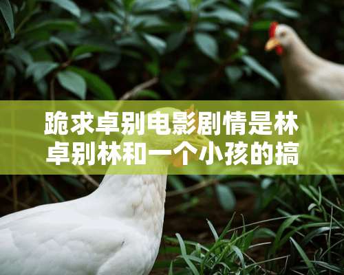 跪求卓别电影剧情是林卓别林和一个小孩的搞笑故事？