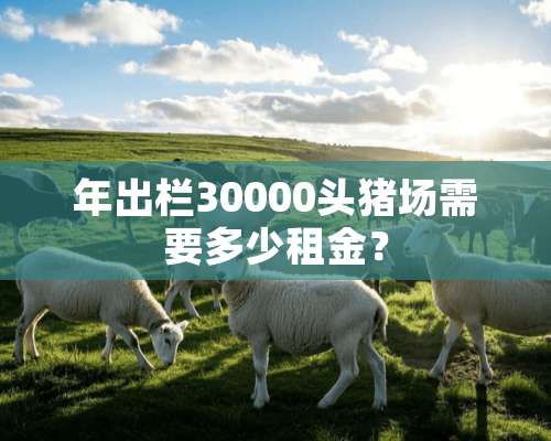 年出栏30000头猪场需要多少租金？