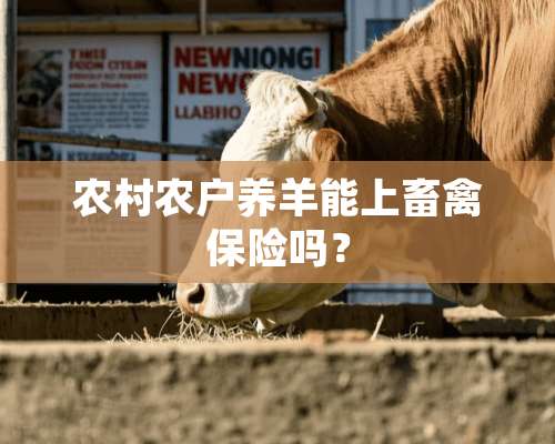 农村农户养羊能上畜禽保险吗？