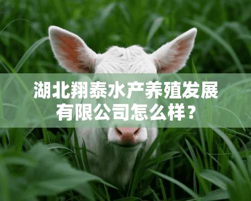 湖北翔泰水产养殖发展有限公司怎么样？