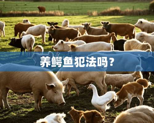 养鳄鱼犯法吗？