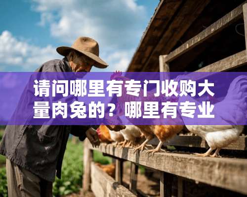 请问哪里有专门收购大量肉兔的？哪里有专业的肉兔养殖场？