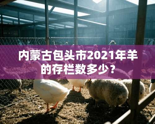 ***包头市2021年羊的存栏数多少？