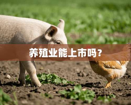 养殖业能上市吗？