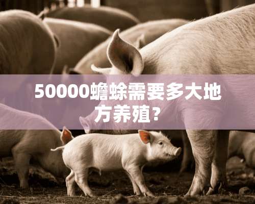 50000蟾蜍需要多大地方养殖？