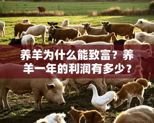 养羊为什么能致富？养羊一年的利润有多少？