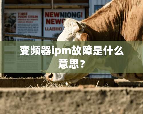 变频器ipm故障是什么意思？