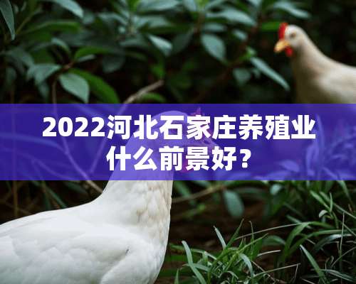 2022河北石家庄养殖业什么前景好？