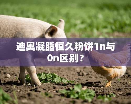 迪奥凝脂恒久粉饼1n与0n区别？