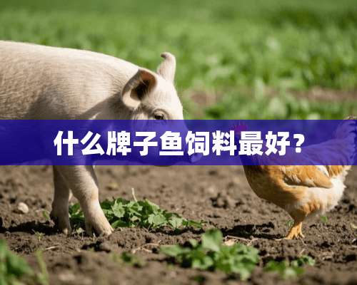 什么牌子鱼饲料最好？