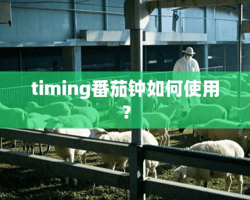 timing番茄钟如何使用？