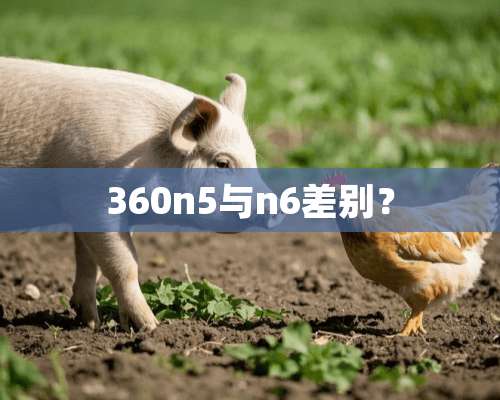 360n5与n6差别？