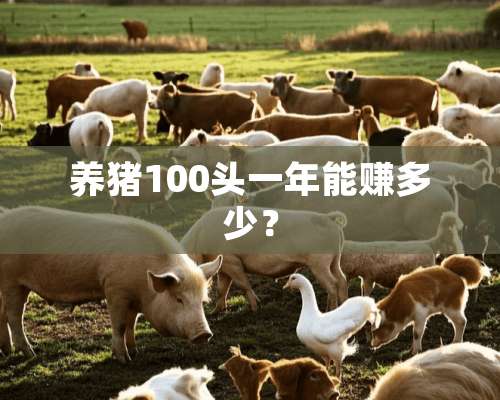 养猪100头一年能赚多少？