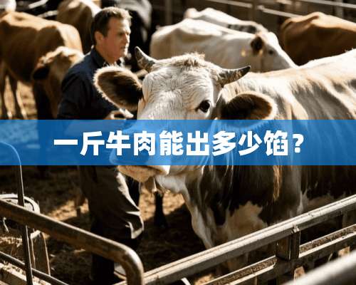 一斤牛肉能出多少馅？