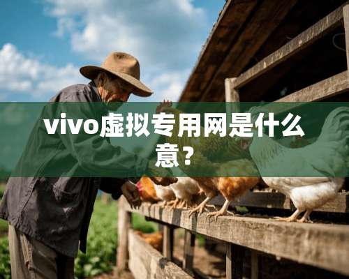 vivo虚拟专用网是什么意？