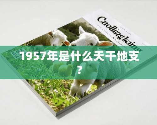 1957年是什么天干地支？