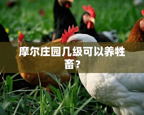 摩尔庄园几级可以养牲畜？