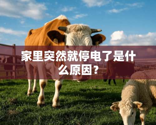 家里突然就停电了是什么原因？