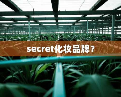 secret化妆品牌？