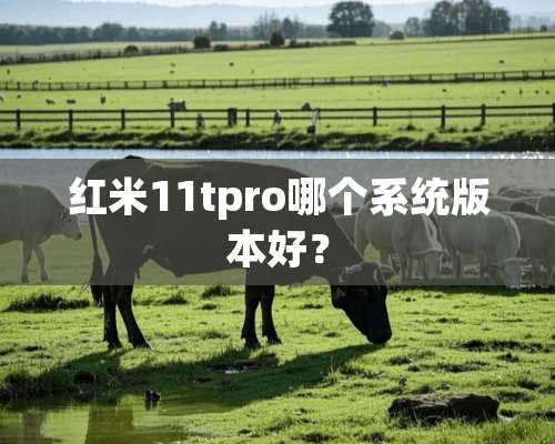 红米11tpro哪个系统版本好？