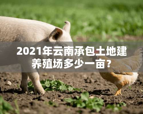 2021年云南承包土地建养殖场多少一亩？