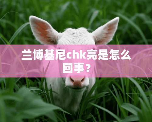 兰博基尼chk亮是怎么回事？