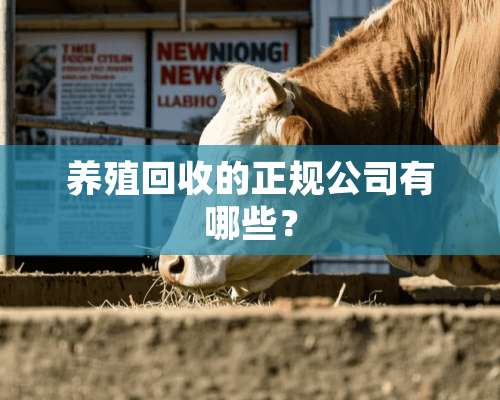 养殖回收的正规公司有哪些？