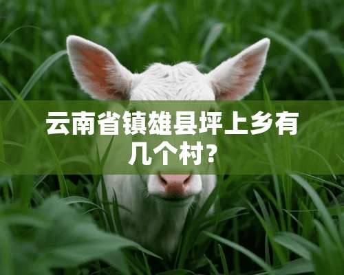 云南省镇雄县坪上乡有几个村？