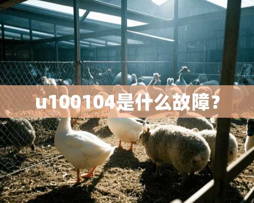 u100104是什么故障？