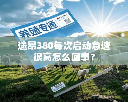 途昂380每次启动怠速很高怎么回事？